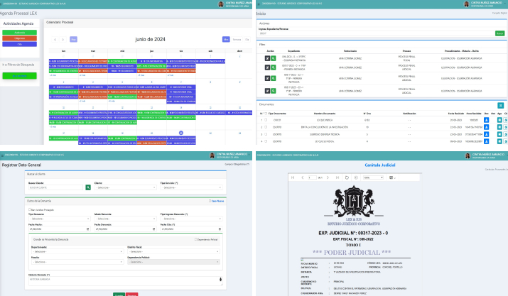 Sistema LexSoft